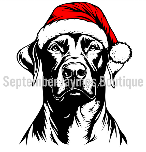 Santa Dog Sweatshirt