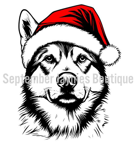 Santa Dog Sweatshirt