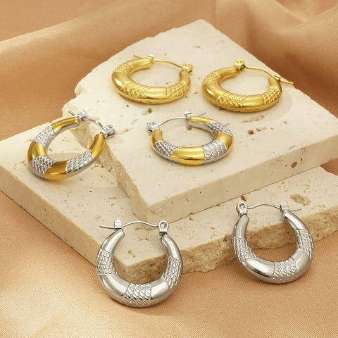 Titanium Steel Hoop Earrings