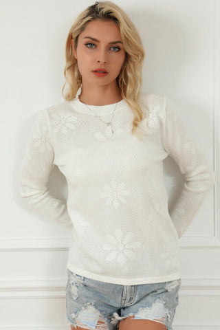Floral Eyelet Round Neck Long Sleeve Knit Top