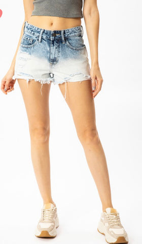 Bleached Cut Off Shorts