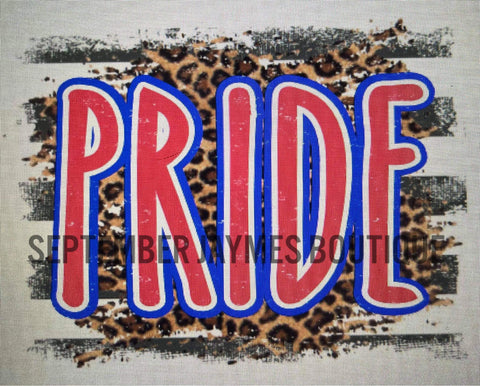 Pride Leopard Spirit V-Neck Tee